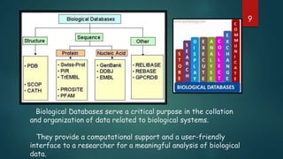 Biological Databases serve a critical purpose in the collation
and organization of data related to biological systems.
They provide a computational support and a user-friendly
interface to a researcher for a meaningful analysis of biological
data.
9
 