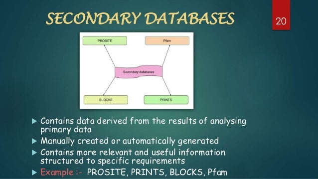 primary and secondary databases ppt by puneet kulyana