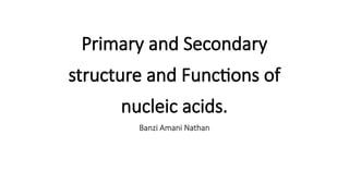 Comprehensive Overview of Nucleic Acids: Structure and Function | PPTX