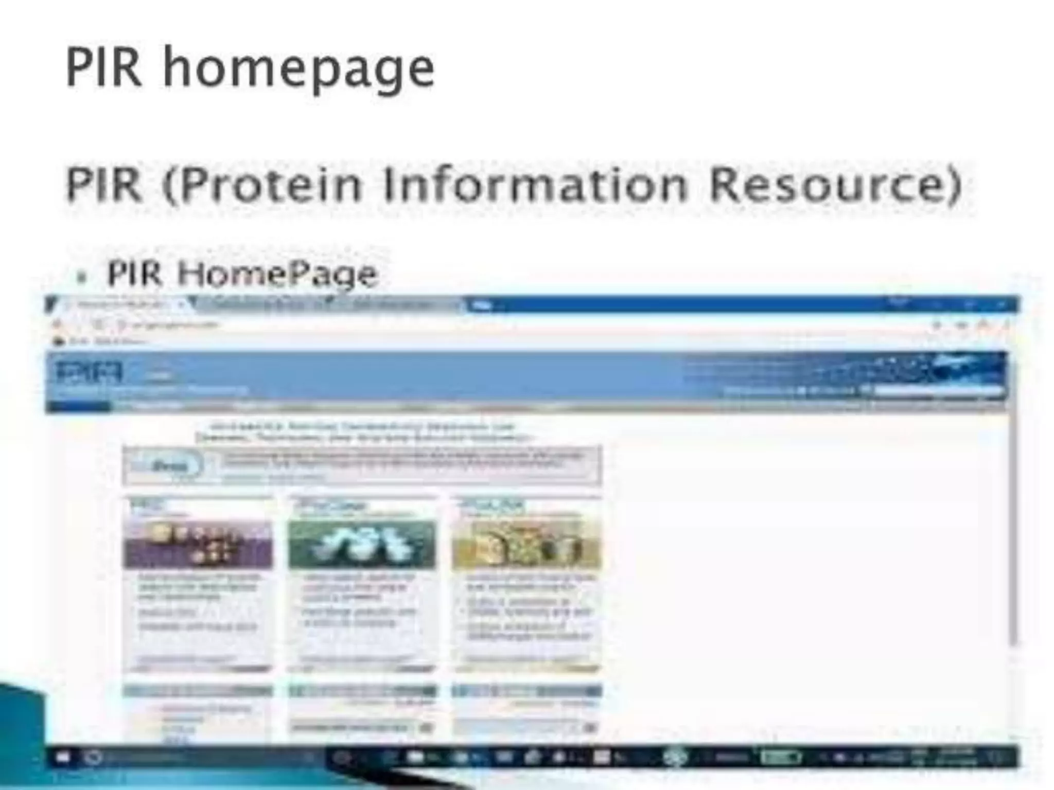 Primary Bioinformatics Database.pptx