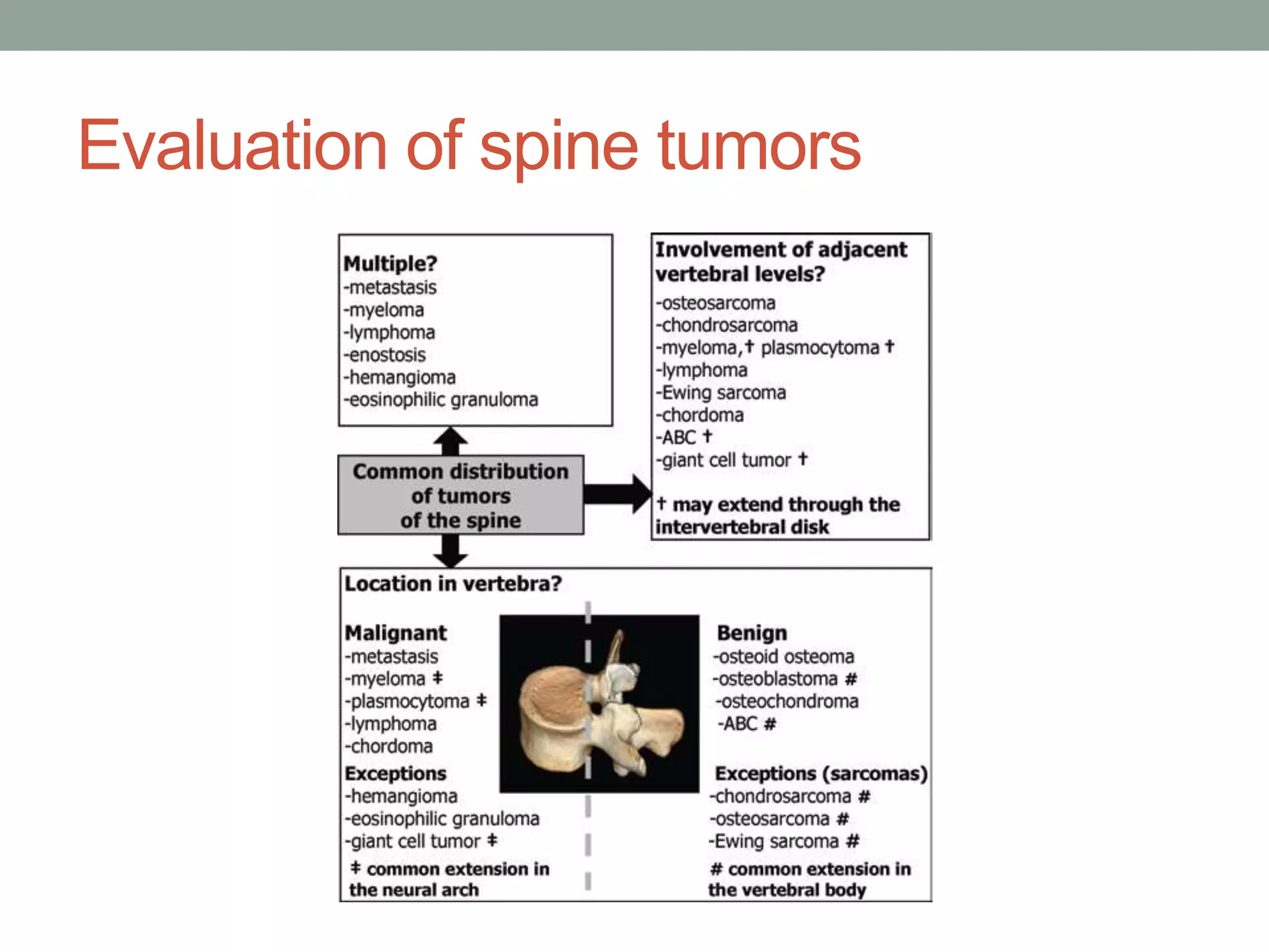 Evaluation of spine tumors
 