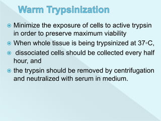 Trypsination Primary cell culture anjana.pptx