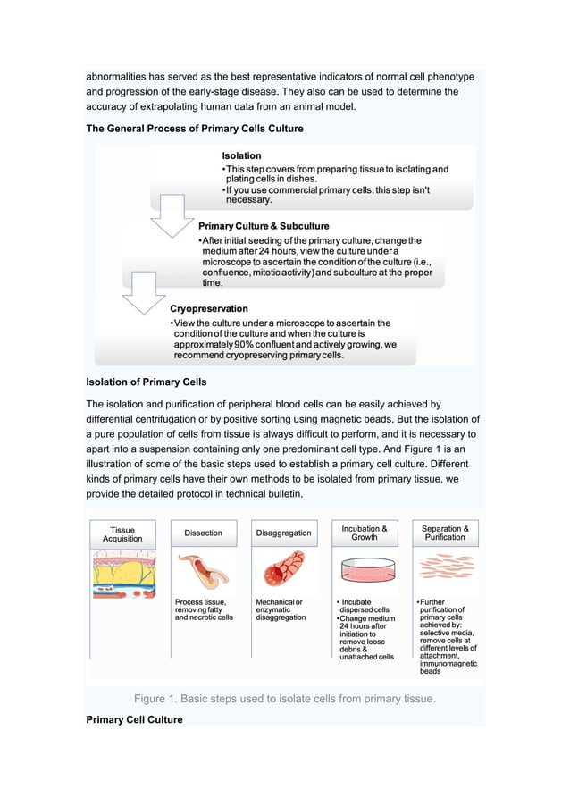 Primary cell culture guide PDF