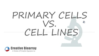 PRIMARY CELLS
VS.
CELL LINES
Creative Bioarray
A Division Of Creative Dynamics Inc
 