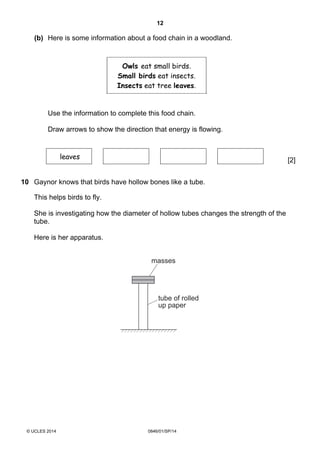 12
© UCLES 2014 0846/01/SP/14
(b) Here is some information about a food chain in a woodland.
Owls eat small birds.
Small birds eat insects.
Insects eat tree leaves.
Use the information to complete this food chain.
Draw arrows to show the direction that energy is flowing.
leaves [2]
10 Gaynor knows that birds have hollow bones like a tube.
This helps birds to fly.
She is investigating how the diameter of hollow tubes changes the strength of the
tube.
Here is her apparatus.
masses
tube of rolled
up paper
 