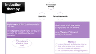 Induction
therapy
Combination
therapy
Steroids Cyclophosphamide
High-dose of IV CST (1000 mg daily for
3–5 days),
or oral prednisone (1 mg/kg per day) are
currently the most frequently used
therapies.
IV is not more
effective than
oral!
Given either as an oral dose
(2 mg/kg/day) for 3–6 months,
or as IV pulse (750 mg/m2/
month) for 6 months.
Monitor:
 Leukocyte nadir and disease course.
 Side effects (infection, especially
bladder, cancer and infertility).
 It is contraindicated during pregnancy.
 
