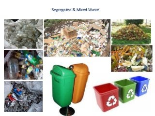 Segregated & Mixed Waste
 