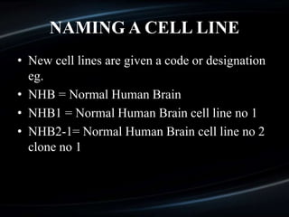NAMING A CELL LINE
• New cell lines are given a code or designation
eg.
• NHB = Normal Human Brain
• NHB1 = Normal Human Brain cell line no 1
• NHB2-1= Normal Human Brain cell line no 2
clone no 1
 
