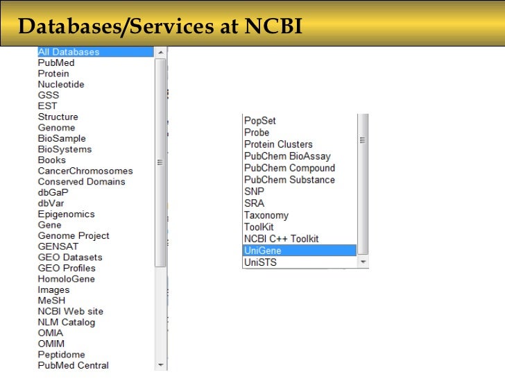 Primary databases ncbi