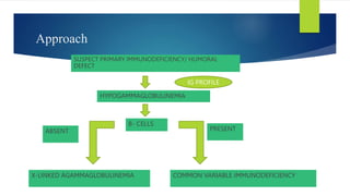 Approach
SUSPECT PRIMARY IMMUNODEFICIENCY/ HUMORAL
DEFECT
HYPOGAMMAGLOBULINEMIA
B- CELLS
ABSENT PRESENT
X-LINKED AGAMMAGLOBULINEMIA COMMON VARIABLE IMMUNODEFICIENCY
IG PROFILE
 