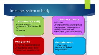 Immune system of body
 