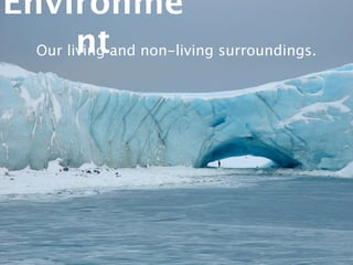 Environme
        nt
  Our living and non-living surroundings.
 