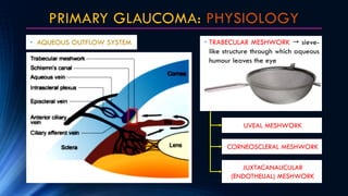 PRIMARY GLAUCOMA: PHYSIOLOGY
• AQUEOUS OUTFLOW SYSTEM
UVEAL MESHWORK
CORNEOSCLERAL MESHWORK
JUXTACANALICULAR
(ENDOTHELIAL)...