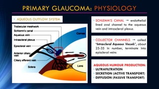 • SCHLEMM’S CANAL  endothelial
lined oval channel to the aqueous
vein and intrascleral plexus
PRIMARY GLAUCOMA: PHYSIOLOG...