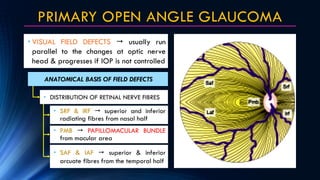 PRIMARY OPEN ANGLE GLAUCOMA
• VISUAL FIELD DEFECTS  usually run
parallel to the changes at optic nerve
head & progresses ...