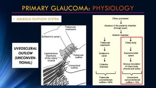 PRIMARY GLAUCOMA: PHYSIOLOGY
• AQUEOUS OUTFLOW SYSTEM
UVEOSCLERAL
OUTLOW
(UNCONVEN-
TIONAL)
 