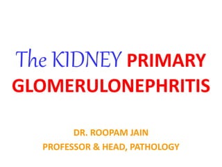 The KIDNEY PRIMARY
GLOMERULONEPHRITIS
DR. ROOPAM JAIN
PROFESSOR & HEAD, PATHOLOGY
 
