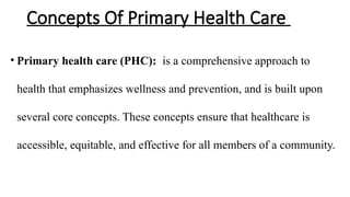 Comprehensive Overview of Primary Health Care Principles and Practices ...