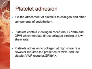 Platelet adhesion
It is the attachment of platelets to collagen and other
components of endothelium.
Platelets contain 2 collagen receptors :GPIaIIa and
GPVI which mediate direct collagen binding at low
shear rate.
Platelets adhesion to collagen at high shear rate
however requires the presence of VWF and the
platelet VWF receptor,GPIIb/IX