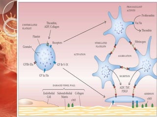 Primary hemostasis