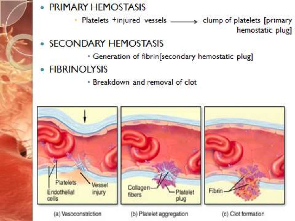 Primary hemostasis