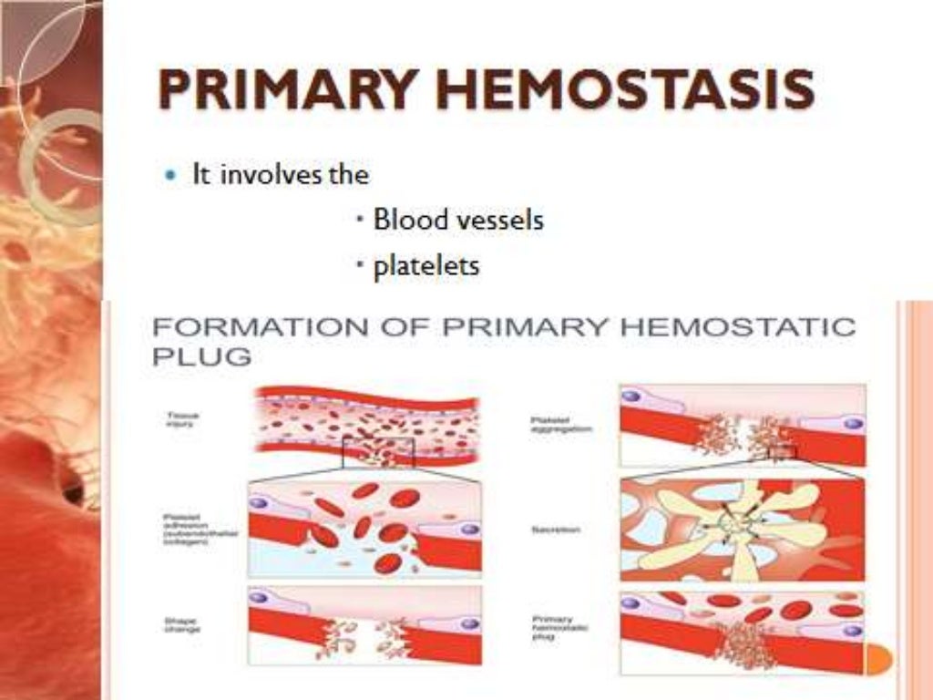 Primary hemostasis