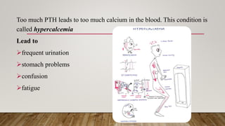 Too much PTH leads to too much calcium in the blood. This condition is
called hypercalcemia
Lead to
frequent urination
stomach problems
confusion
fatigue
 