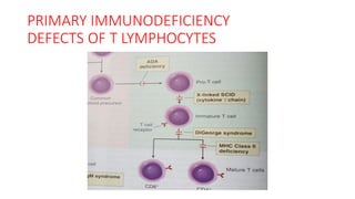 PRIMARY IMMUNE DEFICIENCY DISEASES | PDF