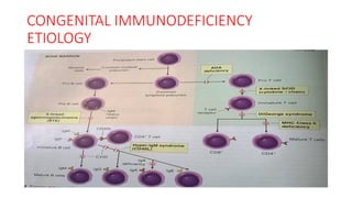 PRIMARY IMMUNE DEFICIENCY DISEASES | PDF