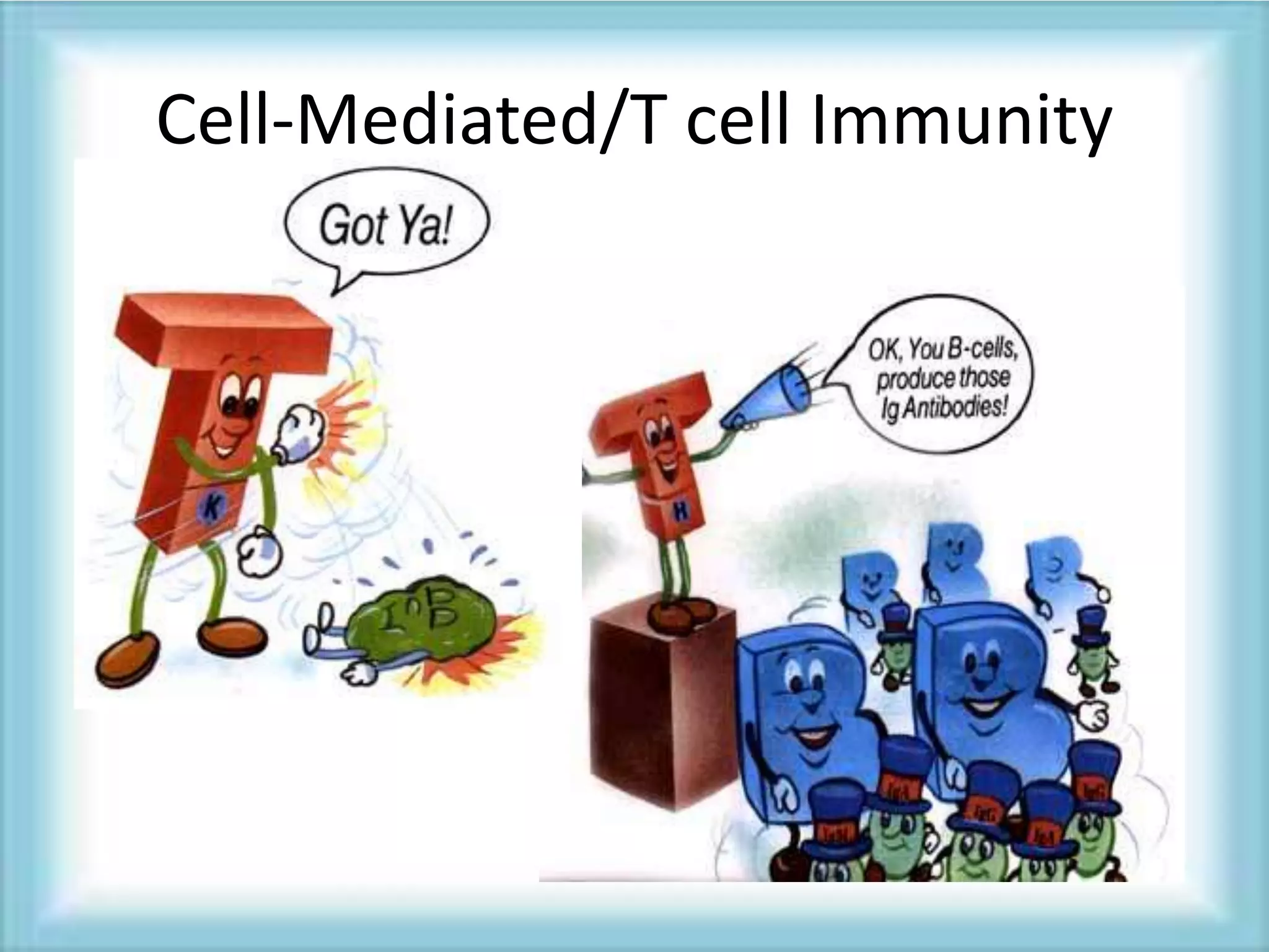 .
Cell-Mediated/T cell Immunity
 