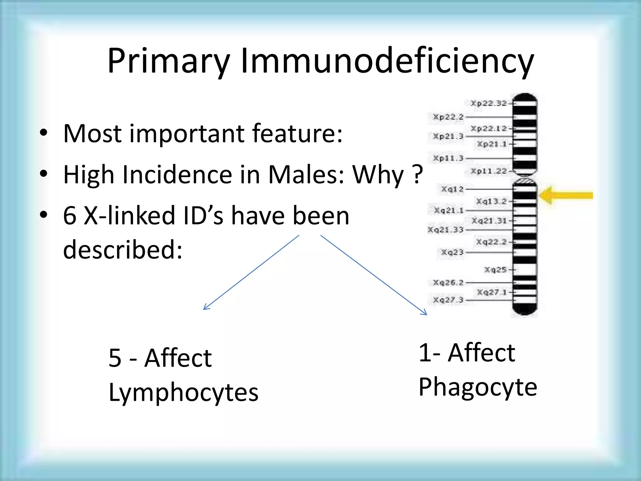 Primary Immunodeficiency
• Most important feature:
• High Incidence in Males: Why ?
• 6 X-linked ID’s have been
described:
5 - Affect
Lymphocytes
1- Affect
Phagocyte
 