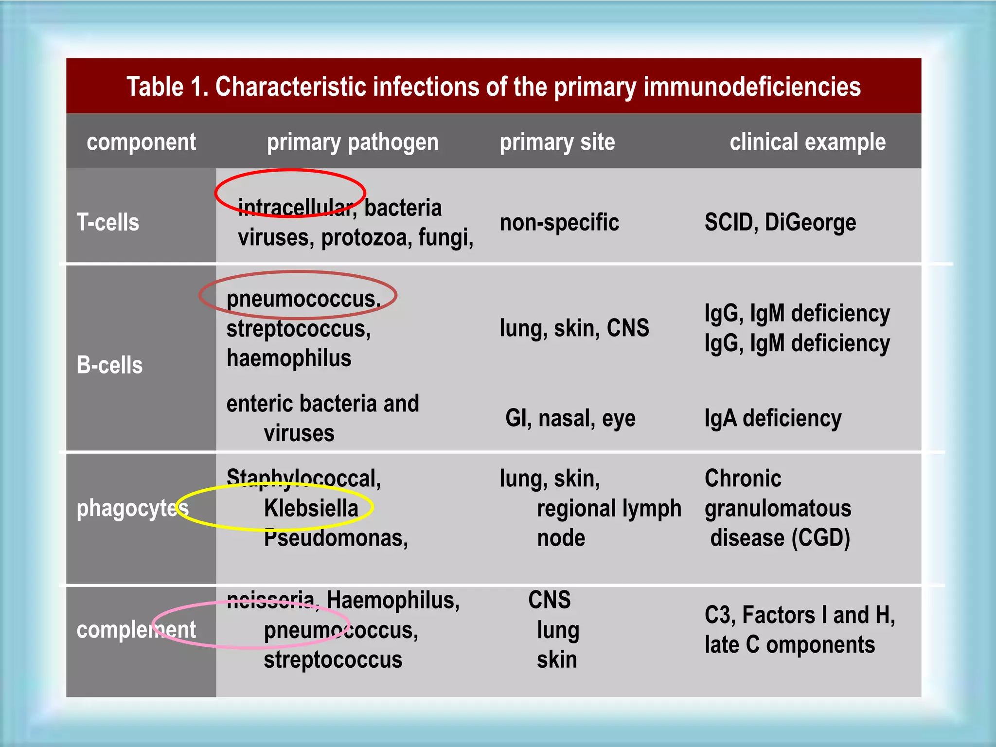 Table 1. Characteristic infections of the primary immunodeficiencies
component primary pathogen primary site clinical example
T-cells
intracellular, bacteria
viruses, protozoa, fungi,
non-specific SCID, DiGeorge
B-cells
pneumococcus,
streptococcus,
haemophilus
lung, skin, CNS
IgG, IgM deficiency
IgG, IgM deficiency
enteric bacteria and
viruses
GI, nasal, eye IgA deficiency
phagocytes
Staphylococcal,
Klebsiella
Pseudomonas,
lung, skin,
regional lymph
node
Chronic
granulomatous
disease (CGD)
complement
neisseria, Haemophilus,
pneumococcus,
streptococcus
CNS
lung
skin
C3, Factors I and H,
late C omponents
 