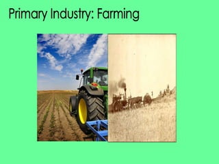Primary Industry: Farming 