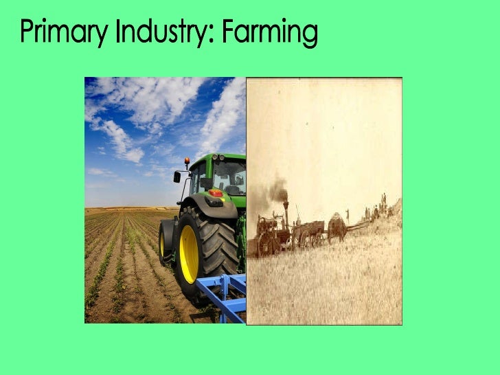 Primary Industry Farming