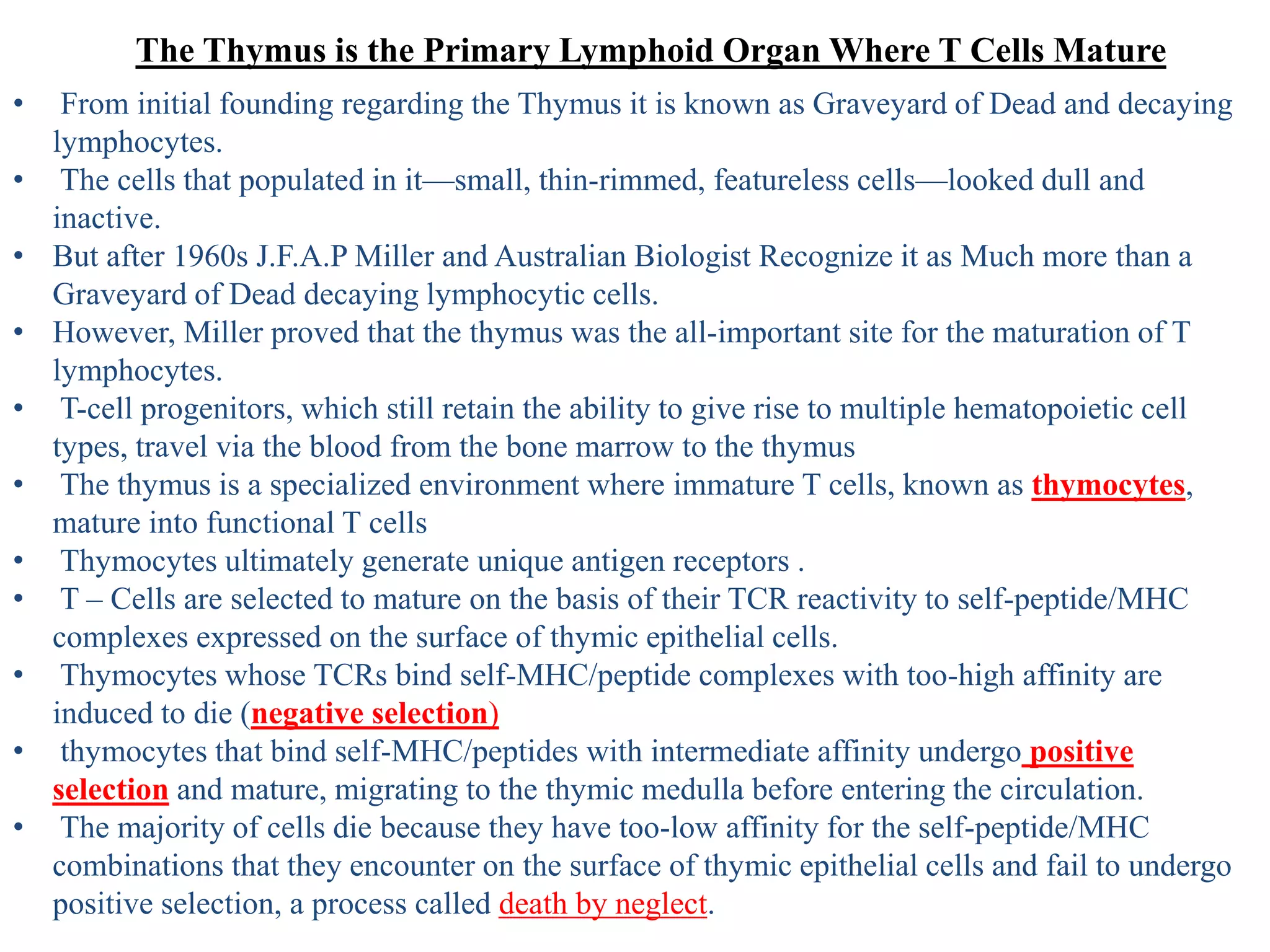 The Thymus is the Primary Lymphoid Organ Where T Cells Mature
• From initial founding regarding the Thymus it is known as Graveyard of Dead and decaying
lymphocytes.
• The cells that populated in it—small, thin-rimmed, featureless cells—looked dull and
inactive.
• But after 1960s J.F.A.P Miller and Australian Biologist Recognize it as Much more than a
Graveyard of Dead decaying lymphocytic cells.
• However, Miller proved that the thymus was the all-important site for the maturation of T
lymphocytes.
• T-cell progenitors, which still retain the ability to give rise to multiple hematopoietic cell
types, travel via the blood from the bone marrow to the thymus
• The thymus is a specialized environment where immature T cells, known as thymocytes,
mature into functional T cells
• Thymocytes ultimately generate unique antigen receptors .
• T – Cells are selected to mature on the basis of their TCR reactivity to self-peptide/MHC
complexes expressed on the surface of thymic epithelial cells.
• Thymocytes whose TCRs bind self-MHC/peptide complexes with too-high affinity are
induced to die (negative selection)
• thymocytes that bind self-MHC/peptides with intermediate affinity undergo positive
selection and mature, migrating to the thymic medulla before entering the circulation.
• The majority of cells die because they have too-low affinity for the self-peptide/MHC
combinations that they encounter on the surface of thymic epithelial cells and fail to undergo
positive selection, a process called death by neglect.
 