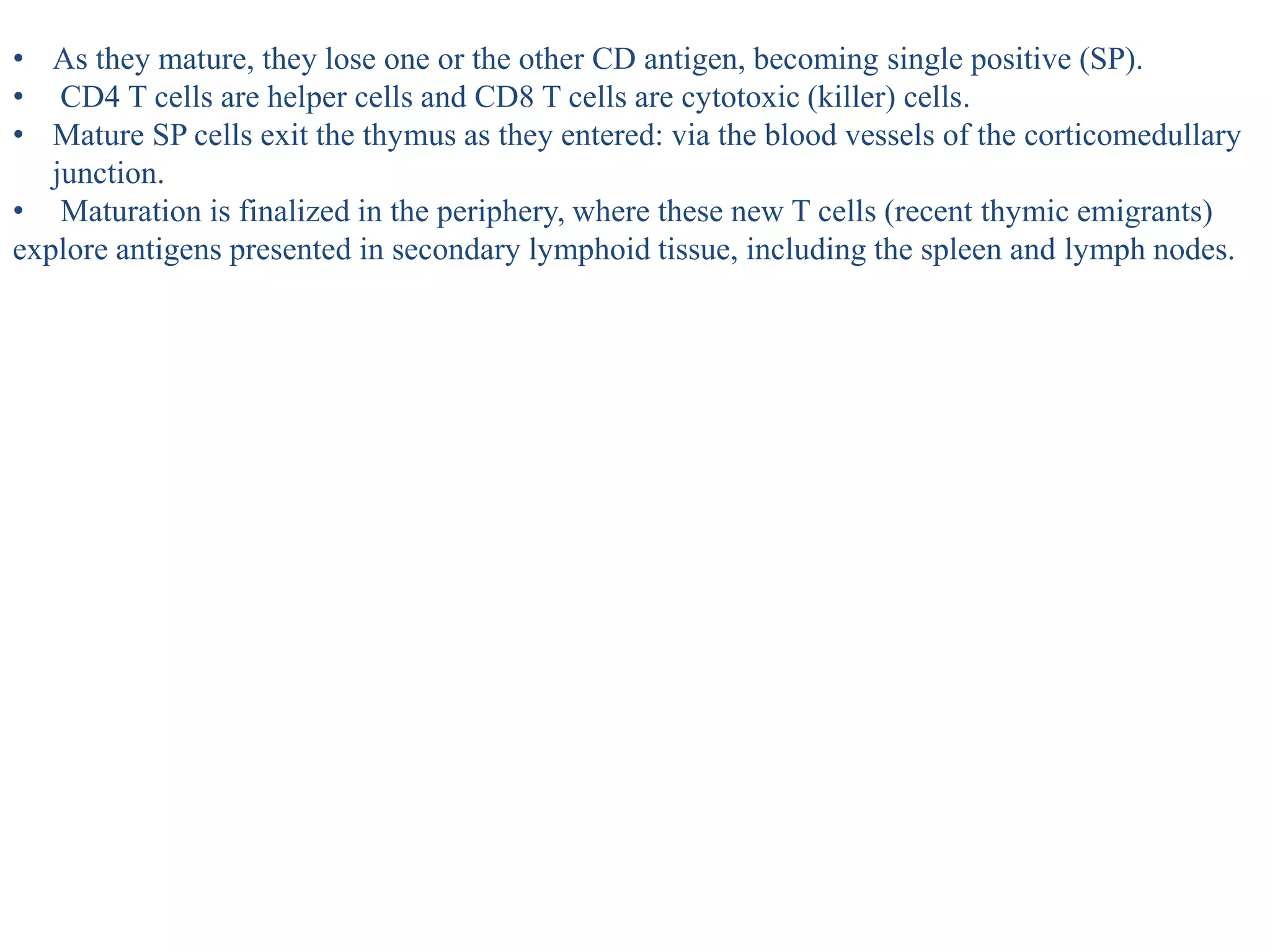 • As they mature, they lose one or the other CD antigen, becoming single positive (SP).
• CD4 T cells are helper cells and CD8 T cells are cytotoxic (killer) cells.
• Mature SP cells exit the thymus as they entered: via the blood vessels of the corticomedullary
junction.
• Maturation is finalized in the periphery, where these new T cells (recent thymic emigrants)
explore antigens presented in secondary lymphoid tissue, including the spleen and lymph nodes.
 