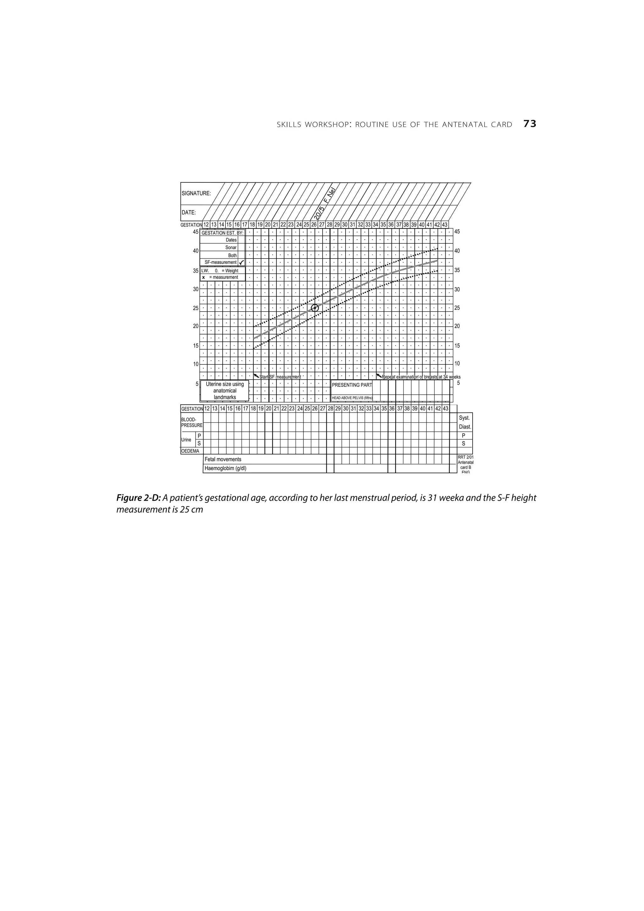 Primary Maternal Care: Skills workshop routine use of the antenatal ...