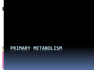 PRIMARY METABOLISM
 
