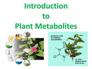 Introduction
to
Plant Metabolites
 
