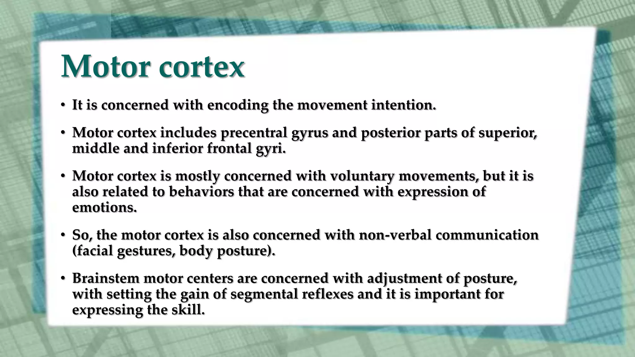 Motor cortex
• It is concerned with encoding the movement intention.
• Motor cortex includes precentral gyrus and posterior parts of superior,
middle and inferior frontal gyri.
• Motor cortex is mostly concerned with voluntary movements, but it is
also related to behaviors that are concerned with expression of
emotions.
• So, the motor cortex is also concerned with non-verbal communication
(facial gestures, body posture).
• Brainstem motor centers are concerned with adjustment of posture,
with setting the gain of segmental reflexes and it is important for
expressing the skill.
 