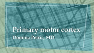 Primary motor cortex
Domina Petric, MD
 