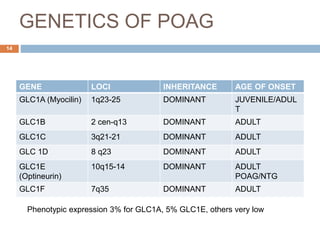 GENETICS OF POAG
GENE LOCI INHERITANCE AGE OF ONSET
GLC1A (Myocilin) 1q23-25 DOMINANT JUVENILE/ADUL
T
GLC1B 2 cen-q13 DOMINANT ADULT
GLC1C 3q21-21 DOMINANT ADULT
GLC 1D 8 q23 DOMINANT ADULT
GLC1E
(Optineurin)
10q15-14 DOMINANT ADULT
POAG/NTG
GLC1F 7q35 DOMINANT ADULT
Phenotypic expression 3% for GLC1A, 5% GLC1E, others very low
14
 