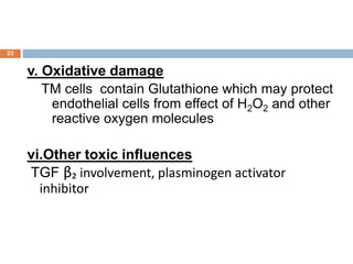 v. Oxidative damage
TM cells contain Glutathione which may protect
endothelial cells from effect of H2O2 and other
reactive oxygen molecules
vi.Other toxic influences
TGF β₂ involvement, plasminogen activator
inhibitor
23
 