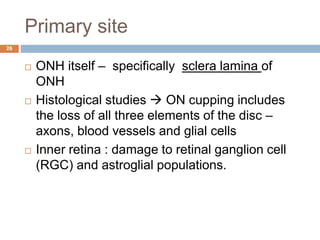 Primary site
 ONH itself – specifically sclera lamina of
ONH
 Histological studies  ON cupping includes
the loss of all three elements of the disc –
axons, blood vessels and glial cells
 Inner retina : damage to retinal ganglion cell
(RGC) and astroglial populations.
26
 