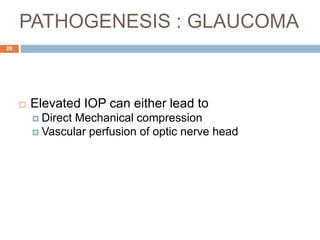 PATHOGENESIS : GLAUCOMA
 Elevated IOP can either lead to
 Direct Mechanical compression
 Vascular perfusion of optic nerve head
28
 