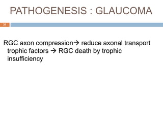 PATHOGENESIS : GLAUCOMA
RGC axon compression reduce axonal transport
trophic factors  RGC death by trophic
insufficiency
31
 