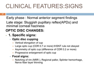 CLINICAL FEATURES:SIGNS
Early phase : Normal anterior segment findings
Late stage: Sluggish pupillary reflex(APD±) and
minimal corneal haziness
OPTIC DISC CHANGES:
 1. Specific signs:
 Optic disc cupping
 Vertical elongation of cup
 Large optic cup (CDR 0.7 or more)ISNT rule not obeyed
 Asymmetry of optic cup (difference of CDR 0.2 or more)
 Progressive enlargement of optic cup
 Focal signs:
 Notching of rim (NRR ), Regional pallor, Splinter hemorrhage,
Nerve fiber layer thinning
37
 