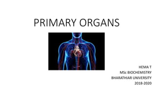 PRIMARY ORGANS
HEMA T
MSc BIOCHEMISTRY
BHARATHIAR UNIVERSITY
2018-2020
 