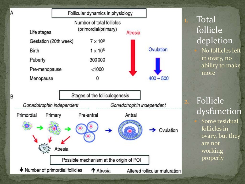 Primary ovarian insufficiency