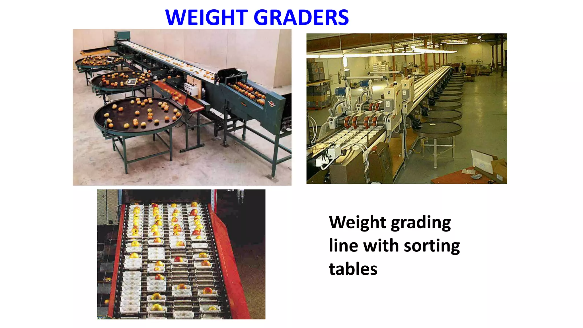 WEIGHT GRADERS
Weight grading
line with sorting
tables
 